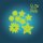 MAGIC MOMENTS Traumsterne 8er-Set