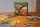 Under the Mango Tree (Deep Print Games)