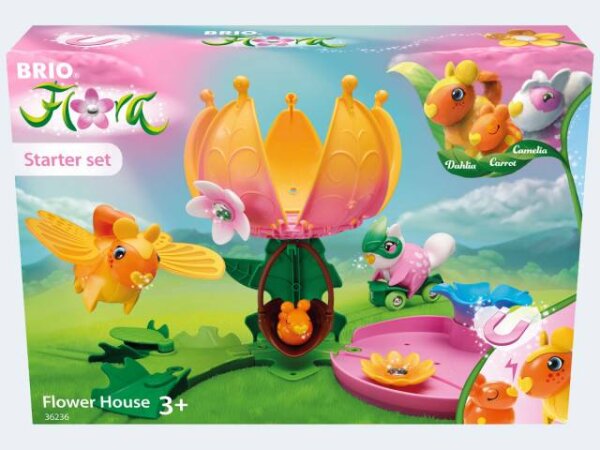 Flora Starter-Set Blumenhaus 19tlg. m. Magnet 3+