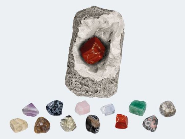 Mineralien & Fossilien
