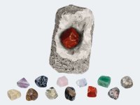 Mineralien & Fossilien (24 Ex. im Display)