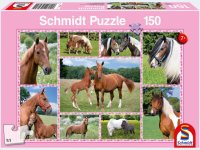 Puzzle - Pferdeträume 150