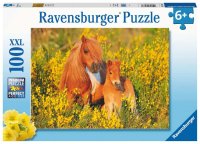Shetlandponys - Ravensburger - Kinderpuzzle