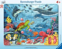 Puzzle - Unten im Meer - 30-48 Teile Rahmenpuzzles