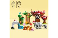 LEGO Duplo Wilde Tiere Asiens - 10974