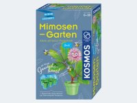 Mimosen-Garten
