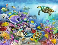 Lebendige Unterwasserwelt