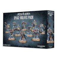 SPACE WOLVES GREY HUNTERS - Discontinued / alte Version