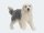 Schleich Farm Bobtail - 13968