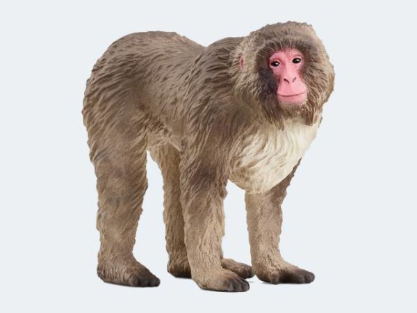 Schleich Wild Japanmakak - 14871
