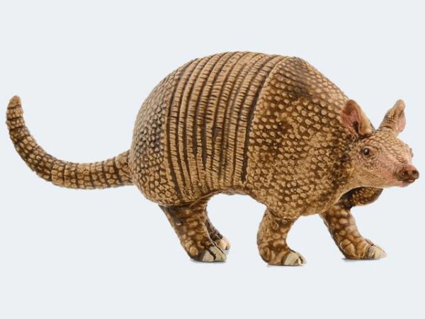 Schleich Wild Gürteltier - 14874