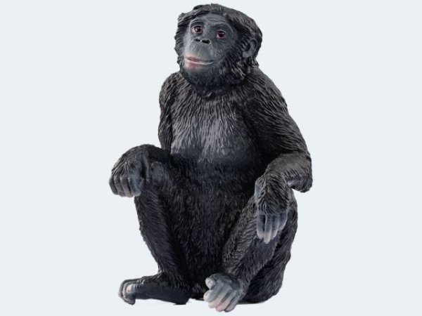 Schleich Wild Bonobo Weibchen - 14875