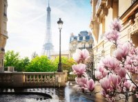 Frühling in Paris - Ravensburger - Puzzle für Erwachsene