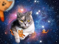 Katzen fliegen im Weltall - Ravensburger - Puzzle für Erwachsene