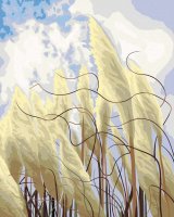 Grass in the Wind