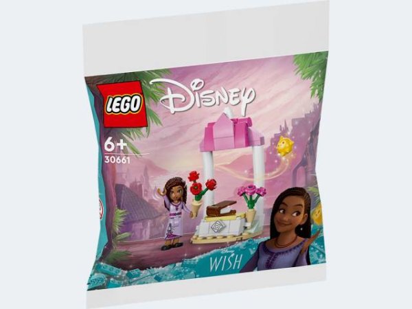 LEGO Princess Wish Ashas Begrüßungsstand Polybag - 30661