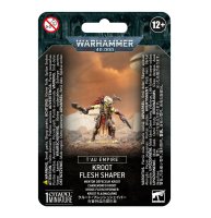TAU EMPIRE: KROOT-FLEISCHFORMER