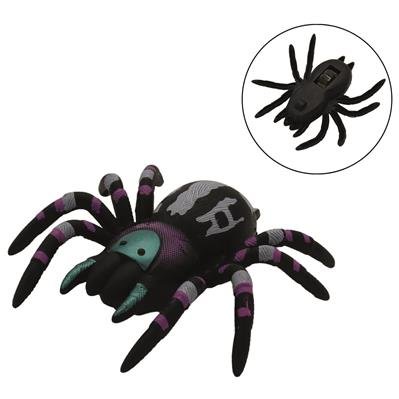 Kletter Spinne