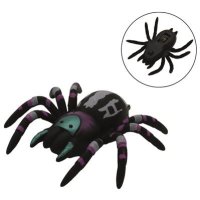 Kletter Spinne